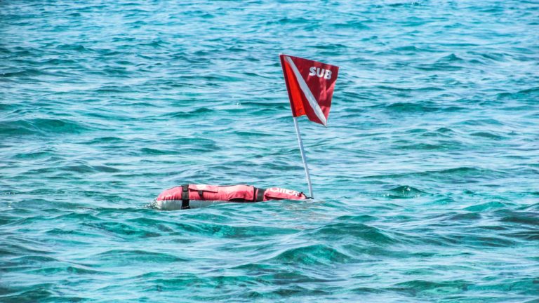 What Does A Diver Down Flag Look Like Anchors Up Carolina